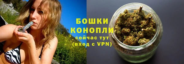 амф Аркадак