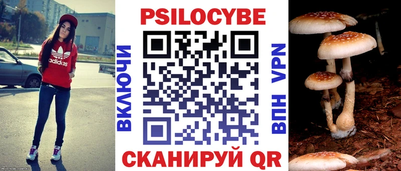 Галлюциногенные грибы Cubensis  mega ТОР  Кашин 